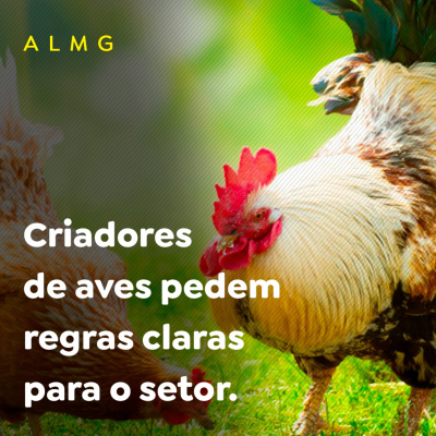 Paracatu Rural - Jornal do agronegócio