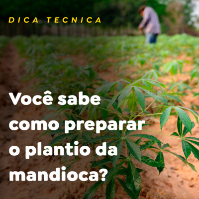Paracatu Rural - Jornal do agronegócio