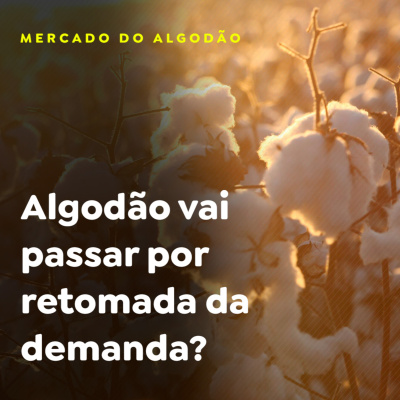 Paracatu Rural - Jornal do agronegócio