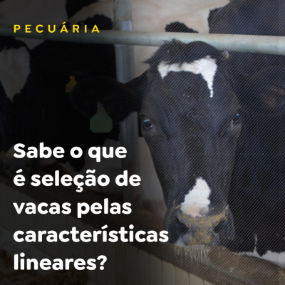 Paracatu Rural - Jornal do agronegócio