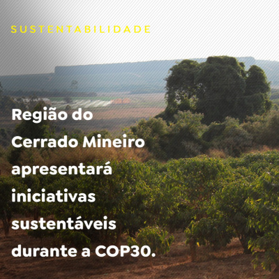 Paracatu Rural - Jornal do agronegócio