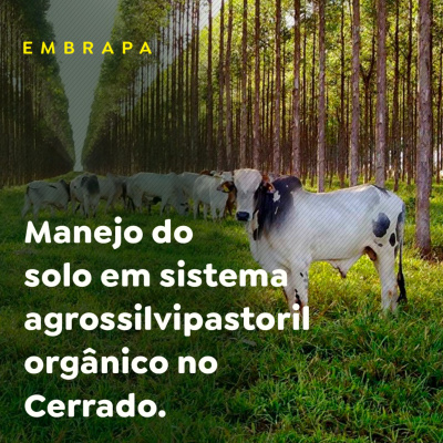 Paracatu Rural - Jornal do agronegócio