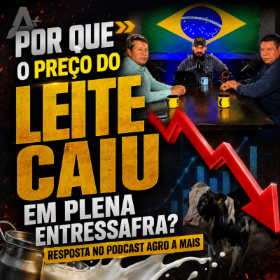 Paracatu Rural - Jornal do agronegócio