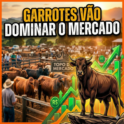 Paracatu Rural - Jornal do agronegócio