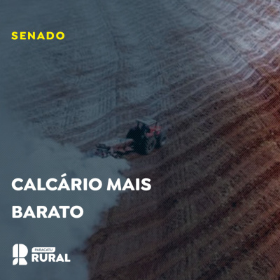 Paracatu Rural - Jornal do agronegócio