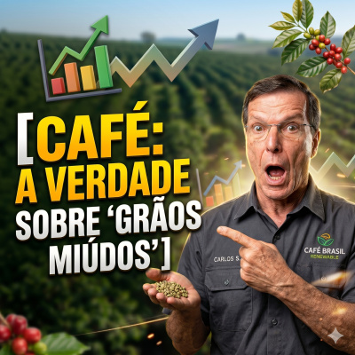 Paracatu Rural - Jornal do agronegócio