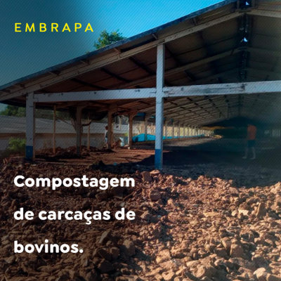Paracatu Rural - Jornal do agronegócio