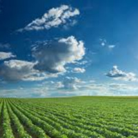 Parem de falar mal do agro! Nem que seja só por amor ao Brasil...