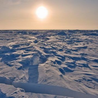 Sagres Internacional