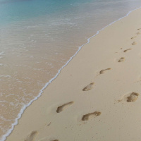 Caminhando em conjunto!