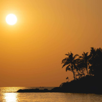 Eleições e Respeito