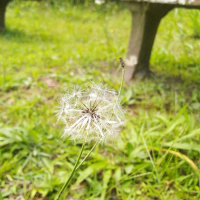 Ao Coração Ansioso