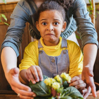 É Só Uma Mentirinha