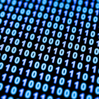 Ser binário: uma reflexão