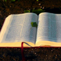 Eu Creio, Por Isso Declaro