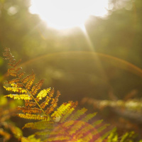 Buscando a Deus com todo o nosso coração