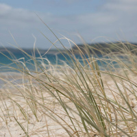 Ep 03.: Bem-Aventurado Os Mansos