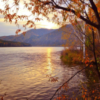 Uma reflexão sobre intolerância