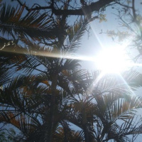 Ep.:04 - Jesus, Aquele que nos encontra