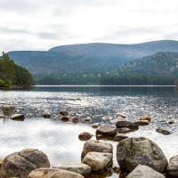 Simplesmente Cristão