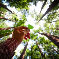 O Discípulo Verdadeiro e o Amor