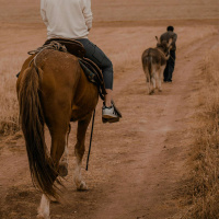 Andando sobre jumento ou cavalo?