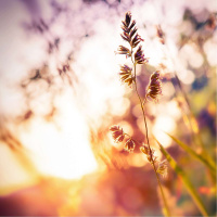 Ep 01.: As Bem Aventuranças