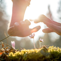 Ele é nosso refúgio