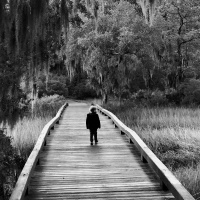 Vacilantes Em Nossa Caminhada