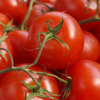 Ondas da Ciência 237 - Embalagem antioxidante