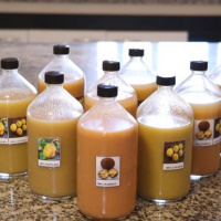 Ondas da Ciência 219 - Universidade produz sucos de frutas do Cerrado