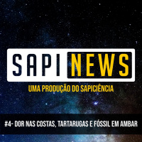 SapiNews #4 - Dor nas Costas, Tartarugas e Fóssil no Âmbar