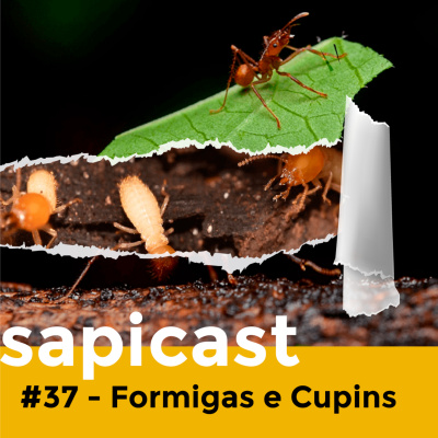 SapiCast