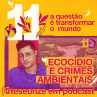 Ecocídio e Crimes Ambientais I 119