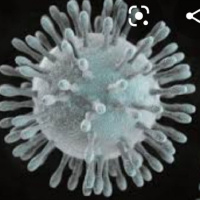 Coronavírus- O Que Você Deve Saber