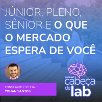 JÚNIOR, PLENO, SÊNIOR E O QUE O MERCADO ESPERA DE VOCÊ
