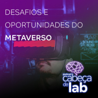 Desafios E Oportunidades Do Metaverso
