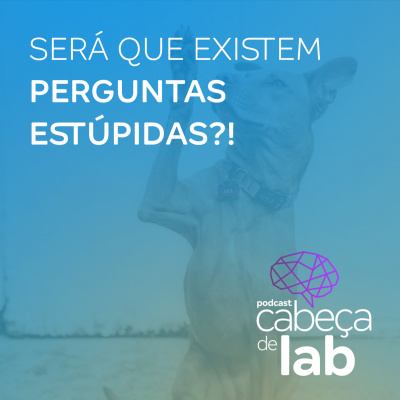 Cabeça de Lab