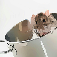 28. Tem um rato na cozinha | Sobre lidar com o indesejável