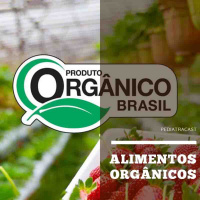 Alimentos Orgânicos | Pediatracast | #EP72