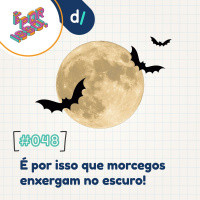 É Por Isso! #48 - É por isso que morcegos enxergam no escuro! 