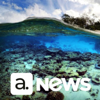 Audimo News - 19/06/2023 - 2ª Edição