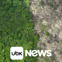 AGRONEGÓCIO - Preços globais dos alimentos têm maior alta em dois anos, puxados por carne e óleos vegetais, diz FAO