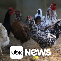 ECONOMIA - Inadimplência de empresas no Brasil bate recorde e chega a 7,3 milhões, diz Serasa