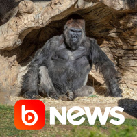 Ubook News - 12/01/2021 - 1ª Edição