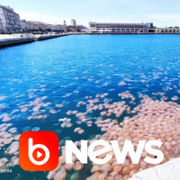 Ubook News - 28/04/2022 - 2ª Edição