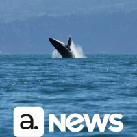 Audimo News - 28/07/2023 - 2ª Edição