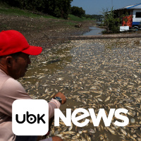 ECONOMIA - Commodities ajudaram desinflação, mas vento favorável está diminuindo, diz diretora do BC