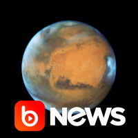 Ubook News - 17/03/2021 - 2ª Edição