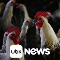 CULTURA – Taylor Swift obtém controle de seu catálogo de músicas